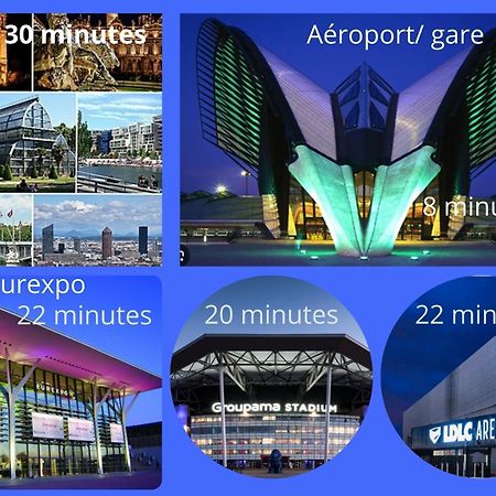 Cosy 152 Proche Aeroport -Gare-Groupama Stadium-Lyon 科隆别索尼约 外观 照片